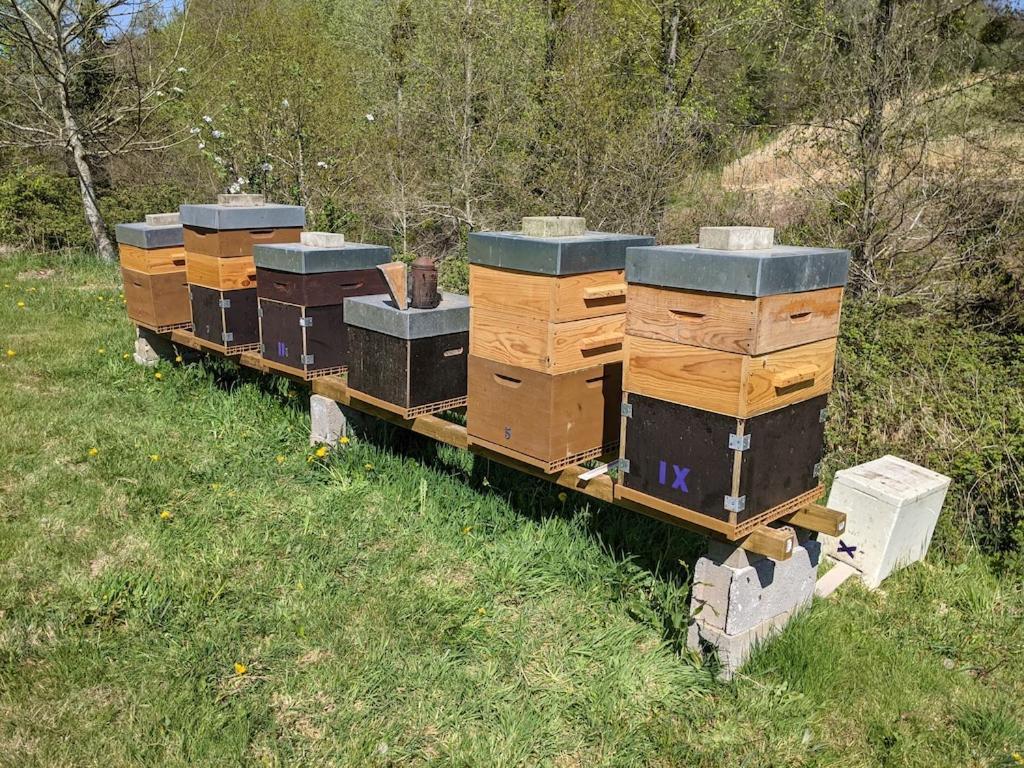 L'Angeberdiere Saint-Mars-sur-la-Futaie Zewnętrze zdjęcie