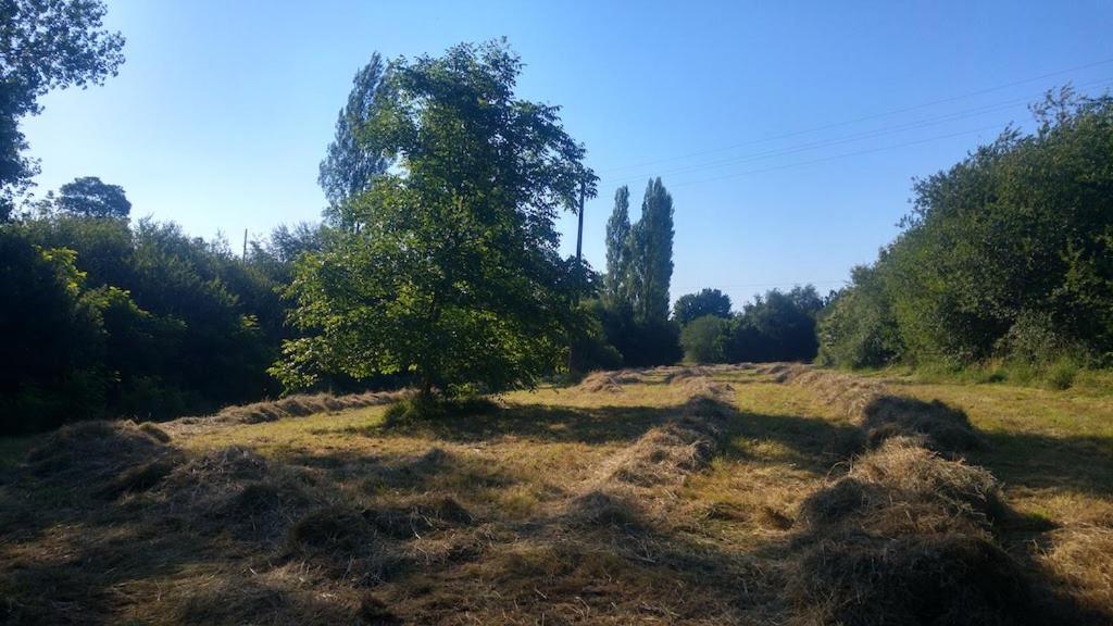 L'Angeberdiere Saint-Mars-sur-la-Futaie Zewnętrze zdjęcie