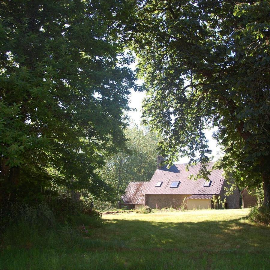 L'Angeberdiere Saint-Mars-sur-la-Futaie Zewnętrze zdjęcie